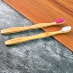 Toothbrush Holder