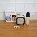 B Grade Portable Karaoke Speaker (1 Set)