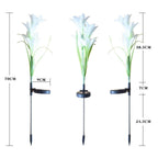Solar Garden Flower Lights - (2Pc Set)